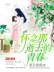 怀念那逝去的青春